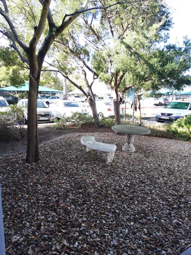 To Let Commercial Property for Rent in Pinelands Western Cape